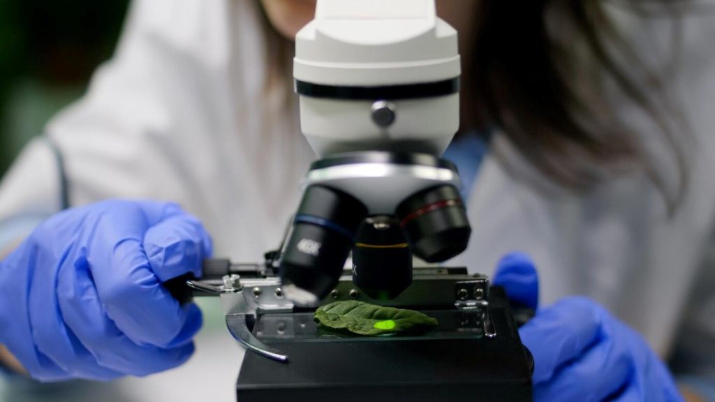 Biotechnologijų sektoriaus startuoliams trūksta ne idėjų, o investuotojų dėmesio